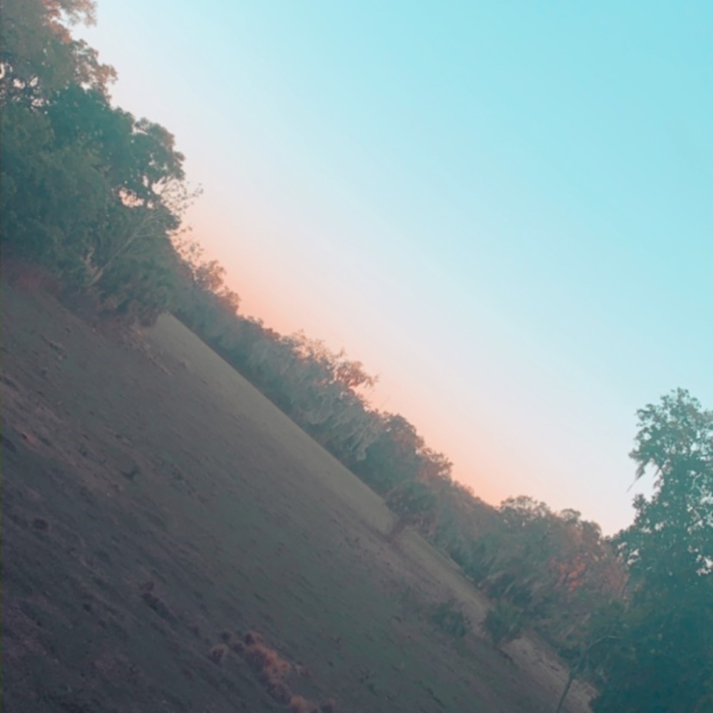 Meet your Posher, Bella